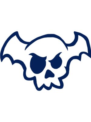 Elements Skulls logo template 49