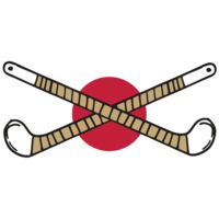 AR FHOCKEY 10 RC Thumbnail