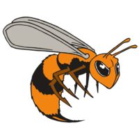 AR BEE 34 RC Thumbnail