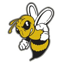 AR BEE 60 RC Thumbnail