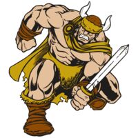 AR VIKING 35 RC Thumbnail