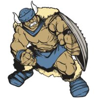 AR VIKING 36 RC Thumbnail