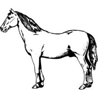 HORSE030 Thumbnail