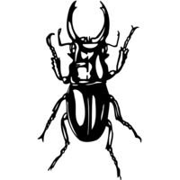 EARWIG Thumbnail