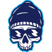 Elements Skulls logo template 137 Thumbnail