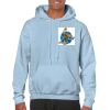 Heavy Blend Adult Hooded Sweatshirt Thumbnail