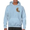 Heavy Blend Adult Hooded Sweatshirt Thumbnail