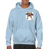 Heavy Blend Adult Hooded Sweatshirt Thumbnail