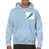 Heavy Blend Adult Hooded Sweatshirt Thumbnail