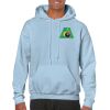 Heavy Blend Adult Hooded Sweatshirt Thumbnail