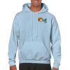 Heavy Blend Adult Hooded Sweatshirt Thumbnail