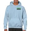 Heavy Blend Adult Hooded Sweatshirt Thumbnail