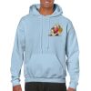 Heavy Blend Adult Hooded Sweatshirt Thumbnail