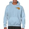 Heavy Blend Adult Hooded Sweatshirt Thumbnail