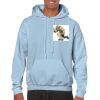 Heavy Blend Adult Hooded Sweatshirt Thumbnail