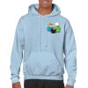 Heavy Blend Adult Hooded Sweatshirt Thumbnail
