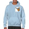 Heavy Blend Adult Hooded Sweatshirt Thumbnail