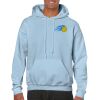 Heavy Blend Adult Hooded Sweatshirt Thumbnail