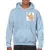 Heavy Blend Adult Hooded Sweatshirt Thumbnail