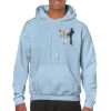 Heavy Blend Adult Hooded Sweatshirt Thumbnail