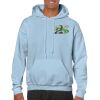 Heavy Blend Adult Hooded Sweatshirt Thumbnail