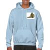 Heavy Blend Adult Hooded Sweatshirt Thumbnail
