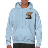 Heavy Blend Adult Hooded Sweatshirt Thumbnail