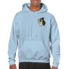 Heavy Blend Adult Hooded Sweatshirt Thumbnail