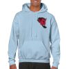 Heavy Blend Adult Hooded Sweatshirt Thumbnail