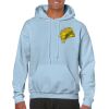 Heavy Blend Adult Hooded Sweatshirt Thumbnail