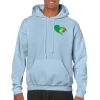 Heavy Blend Adult Hooded Sweatshirt Thumbnail