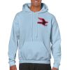 Heavy Blend Adult Hooded Sweatshirt Thumbnail