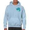 Heavy Blend Adult Hooded Sweatshirt Thumbnail