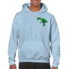 Heavy Blend Adult Hooded Sweatshirt Thumbnail