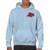 Heavy Blend Adult Hooded Sweatshirt Thumbnail