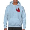 Heavy Blend Adult Hooded Sweatshirt Thumbnail