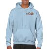 Heavy Blend Adult Hooded Sweatshirt Thumbnail