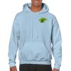 Heavy Blend Adult Hooded Sweatshirt Thumbnail