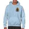 Heavy Blend Adult Hooded Sweatshirt Thumbnail