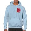 Heavy Blend Adult Hooded Sweatshirt Thumbnail