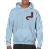 Heavy Blend Adult Hooded Sweatshirt Thumbnail