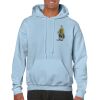 Heavy Blend Adult Hooded Sweatshirt Thumbnail