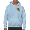Heavy Blend Adult Hooded Sweatshirt Thumbnail