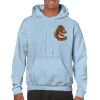 Heavy Blend Adult Hooded Sweatshirt Thumbnail