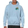Heavy Blend Adult Hooded Sweatshirt Thumbnail