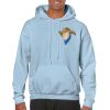 Heavy Blend Adult Hooded Sweatshirt Thumbnail