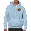Heavy Blend Adult Hooded Sweatshirt Thumbnail