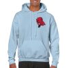 Heavy Blend Adult Hooded Sweatshirt Thumbnail