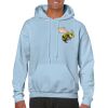 Heavy Blend Adult Hooded Sweatshirt Thumbnail