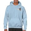Heavy Blend Adult Hooded Sweatshirt Thumbnail